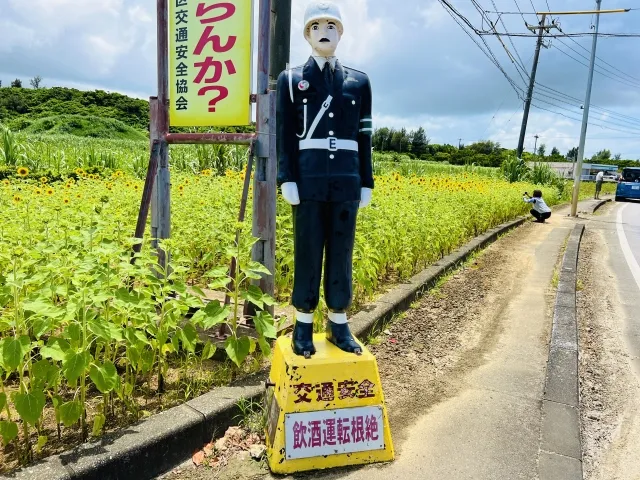 宮古島まもるくんグッツとは何か