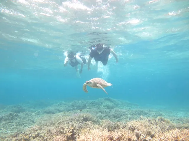 8月夏休みの宮古島シュノーケリング人気スポット10選!初心者も安心のプラン特集