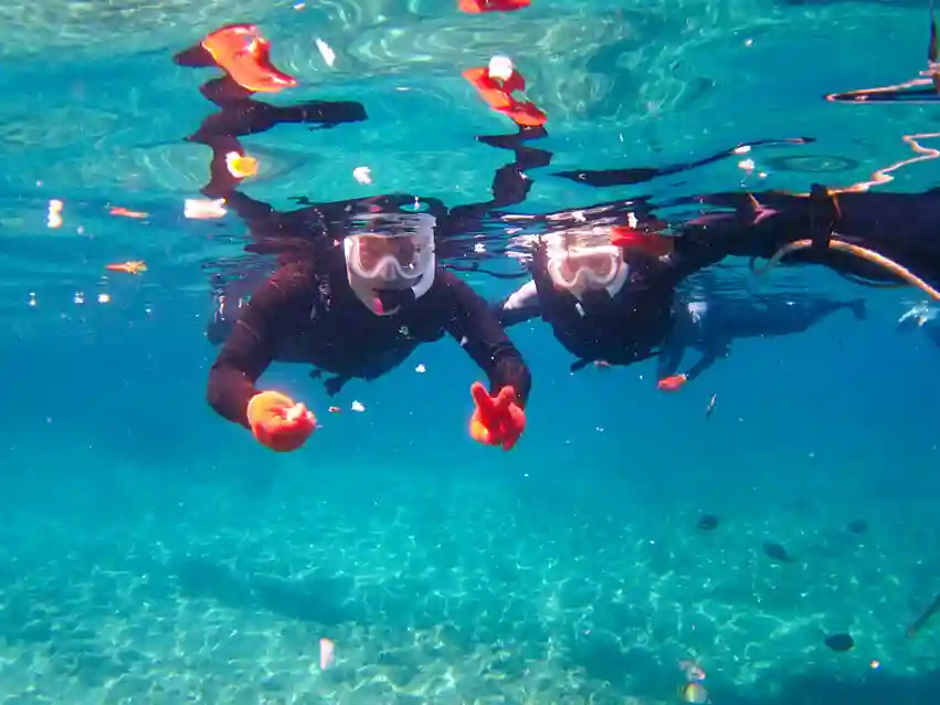 宮古島シュノーケリング11月でも暖かい！初心者におすすめのビーチ5選