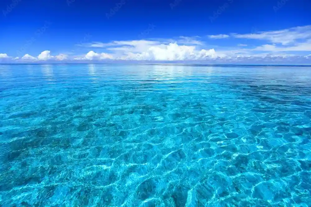 八重干瀬の透明度