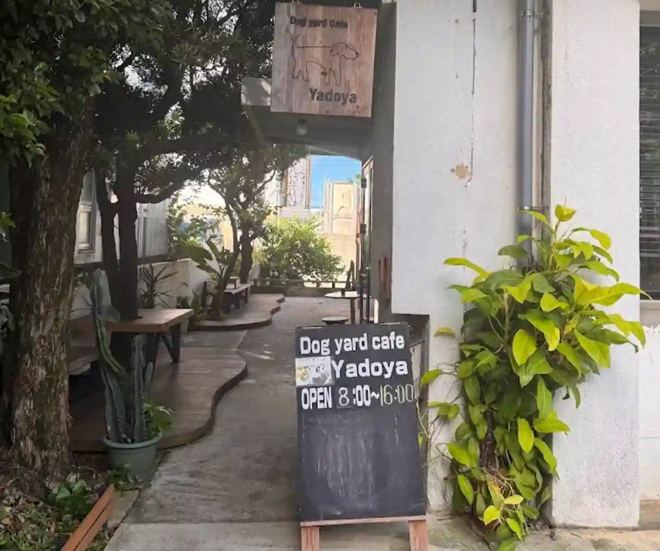 Dog yard cafe YADOYA