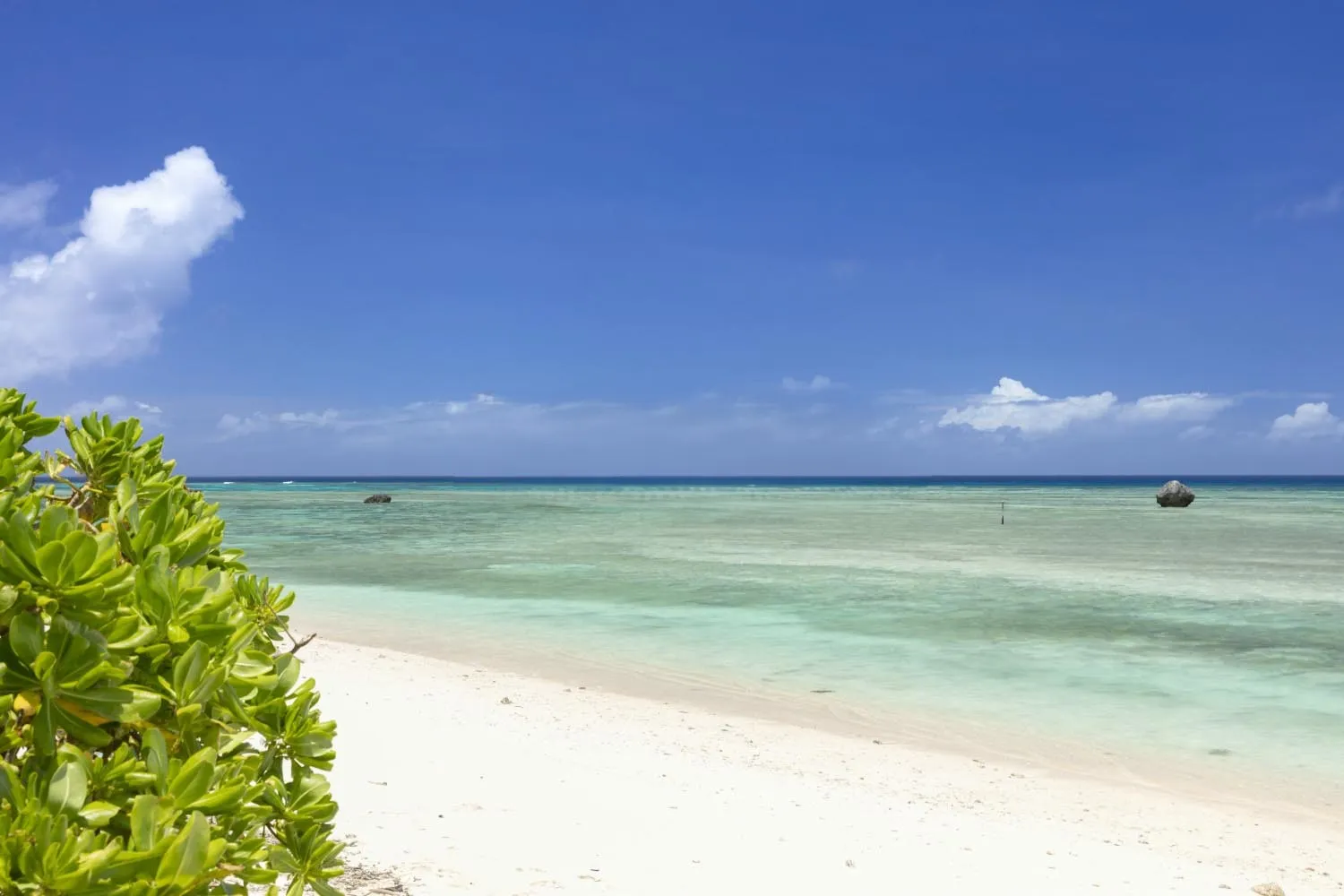 ふるさと海浜公園