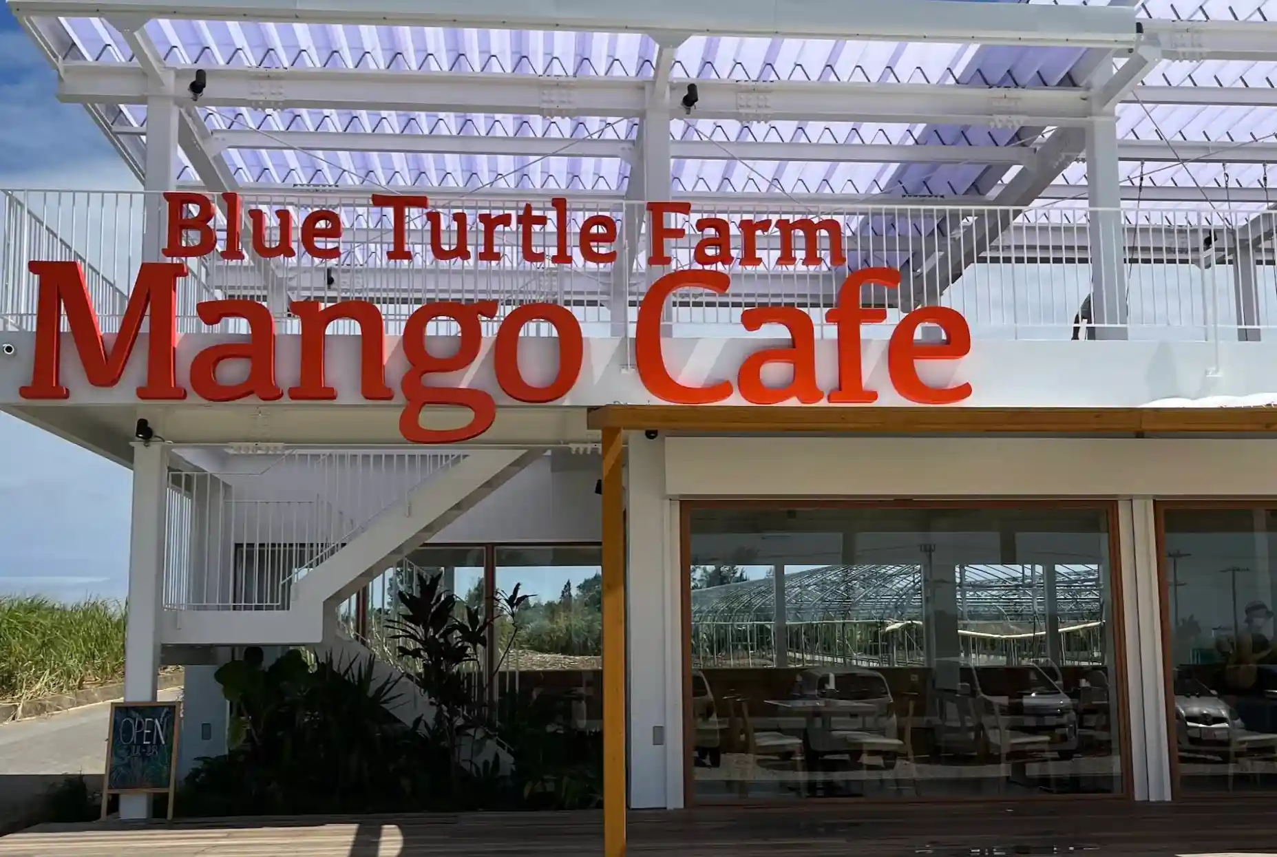 ブルータートルファーム マンゴーカフェ Blue Turtle Farm Mango cafe