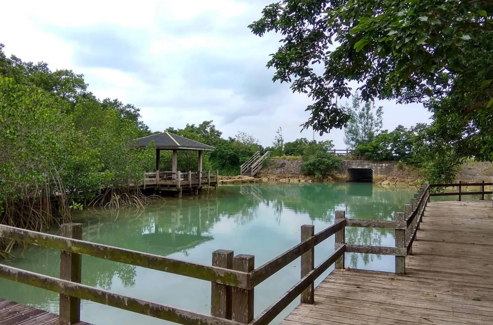 川満マングローブの場所とアクセス情報