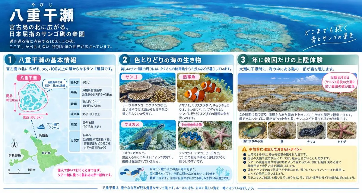 八重干瀬の基本情報と見どころ