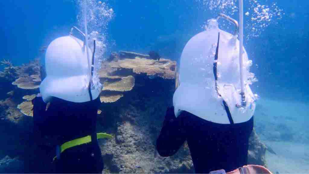 船上から空気を送り込まれるヘルメットを被った2人組が海中の岩陰に並んでいる画像