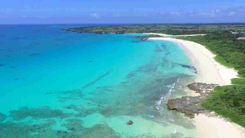 エメラルドグリーンの海が広がり白い砂浜には鮮やかな緑の草木が広がる画像