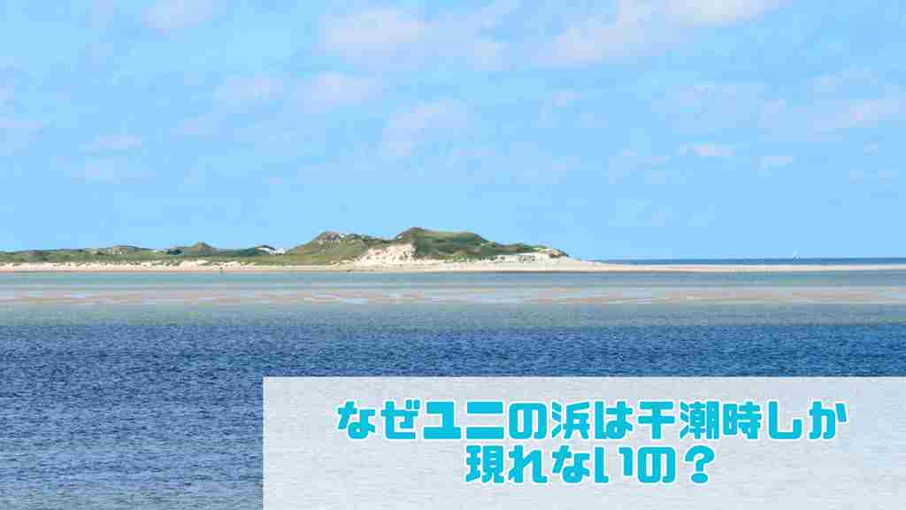 右下に”なぜユニの浜は干潮時しか現れないの？”と記載。=海上の奥で緑が映える島の手前に干潮で浮き上がった浜辺が写っている画像