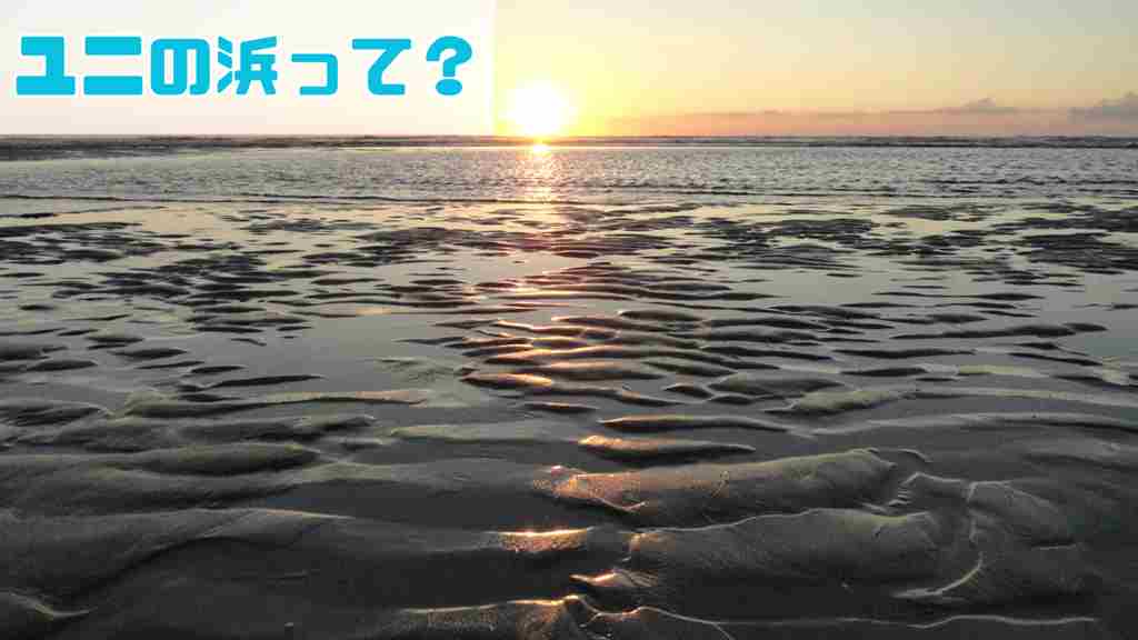 左上に”ユニの浜って？”と記載。干潮で浮き上がった浜辺を夕日が照らしている画像