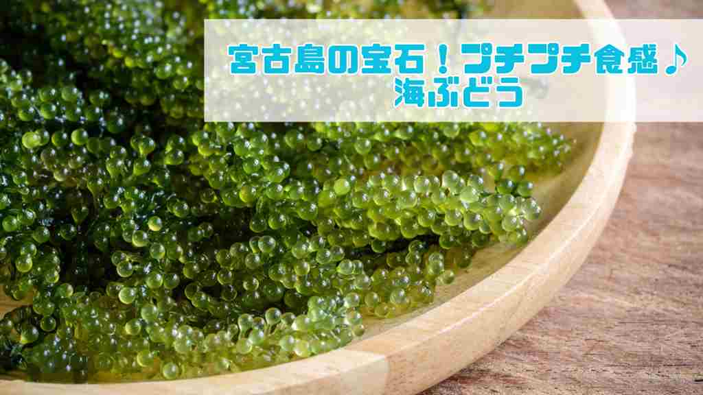 右上に”宮古島の宝石！プチプチ食感♪海ぶどう”と記載。木目調のテーブルで木製の皿に海ぶどうがたくさん盛られている画像