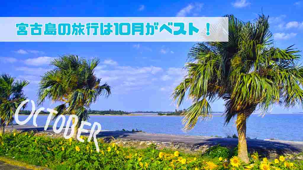 宮古島の旅行は10月がベスト！の画像