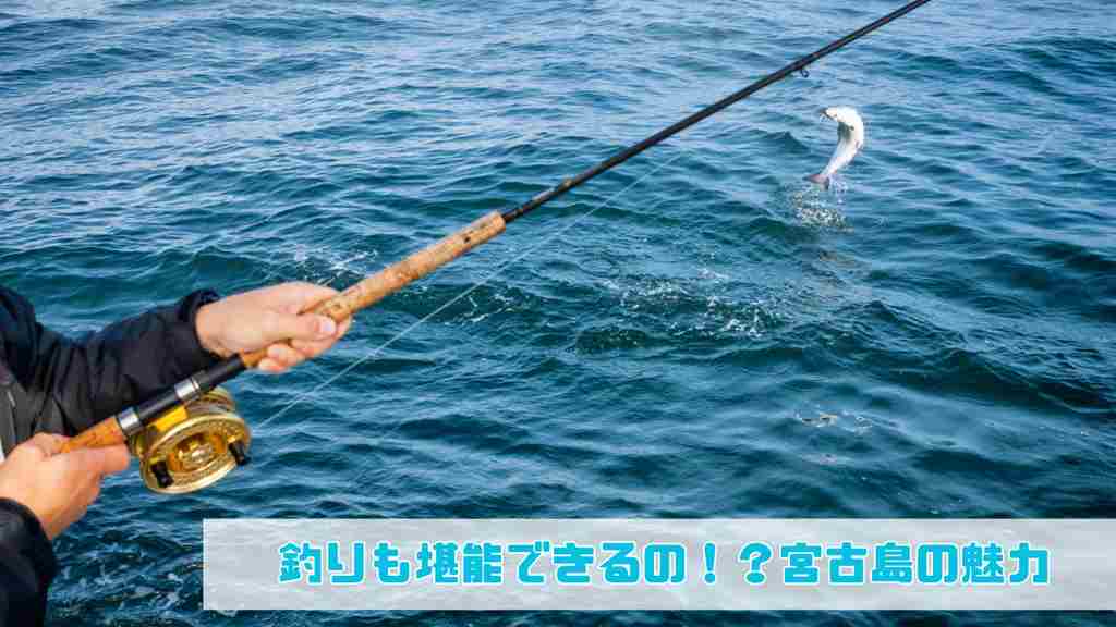 右下に”釣りも堪能できるの！？宮古島の魅力”と記載され、釣り竿に白い魚が1匹連れている海釣りをしている画像