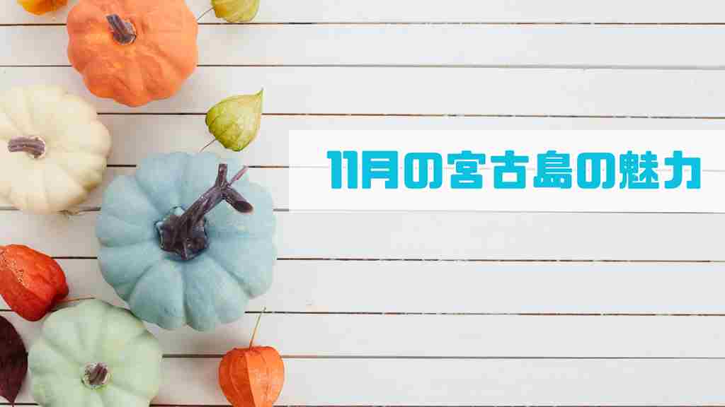 右中に”11月の宮古島の魅力”と記載。白い背景に横線が入っていて左に大きさがバラバラのかぼちゃが4つと周りにほおずきがある画像