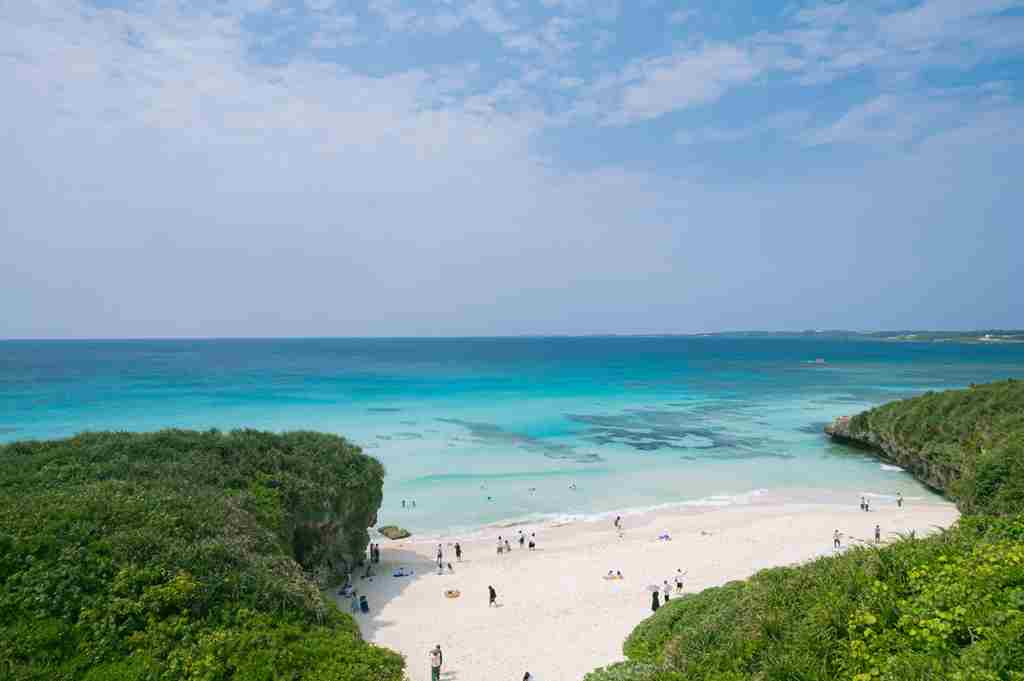 緑に囲まれた綺麗なビーチと海の画像