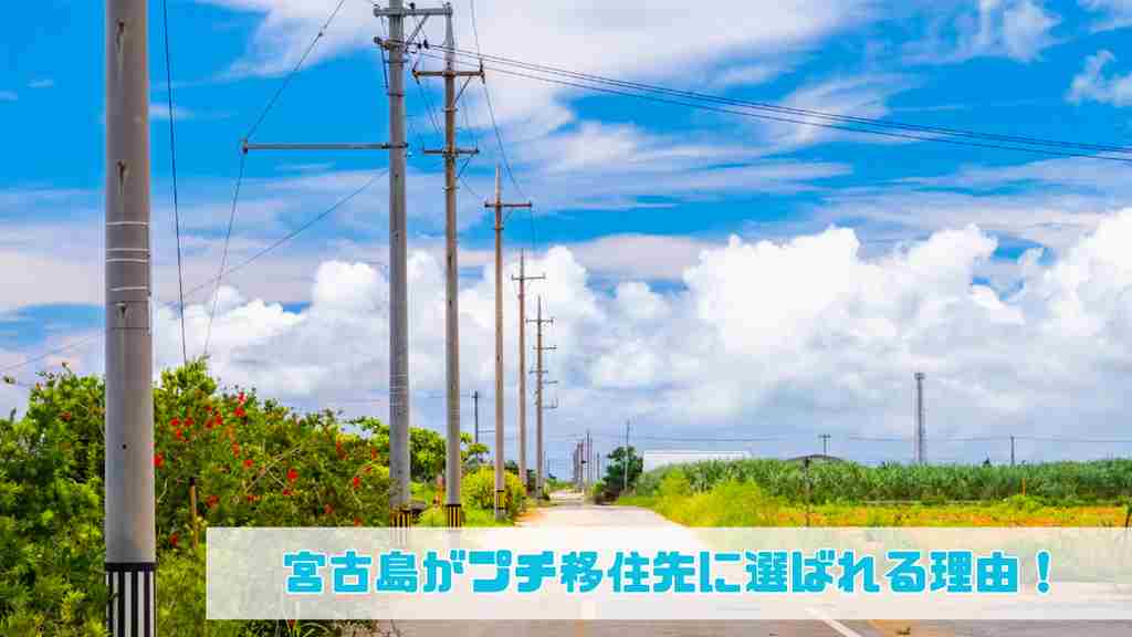 右下に”宮古島がプチ移住先に選ばれる理由！”と記載。雲がかかる青空の下に一本の道路と右側に軒並みに立てられた電柱と両脇には青い草木がつづく南国を思わせる画像