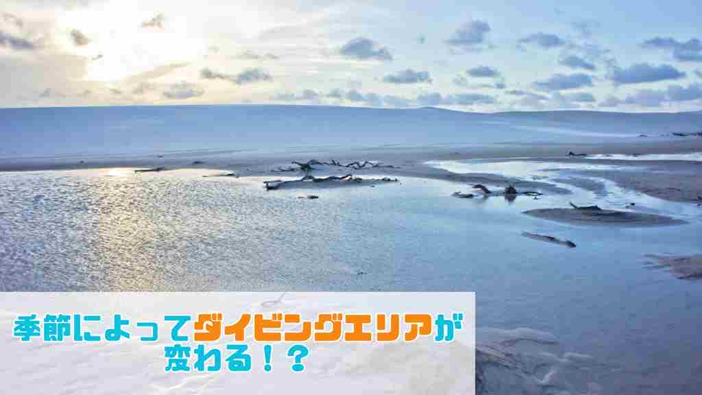 海の画像。画像の左下には”季節によってダイビングエリアが変わる！？”のテキスト。