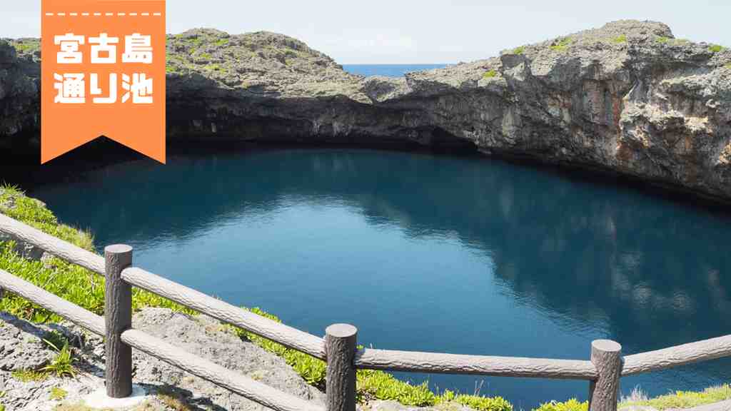 画面の左上に”宮古島通り池”のテキスト。宮古島の通り地をアップで写した画像