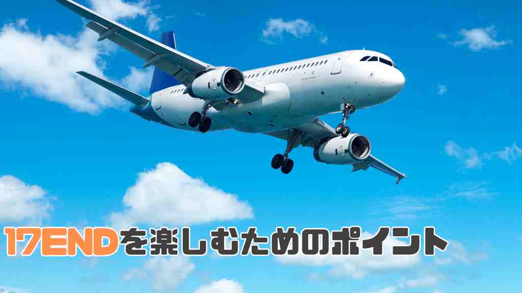 空を飛行機が飛んでいる画像。画面の左下には”宮古島マンゴーの種類と選び方”のテキスト。